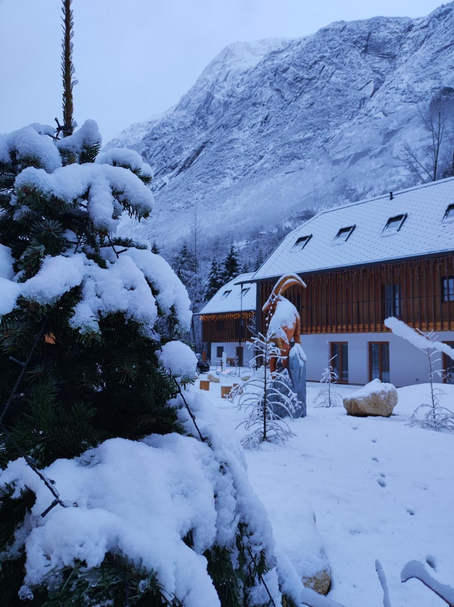 Residence Soča エクステリア 写真